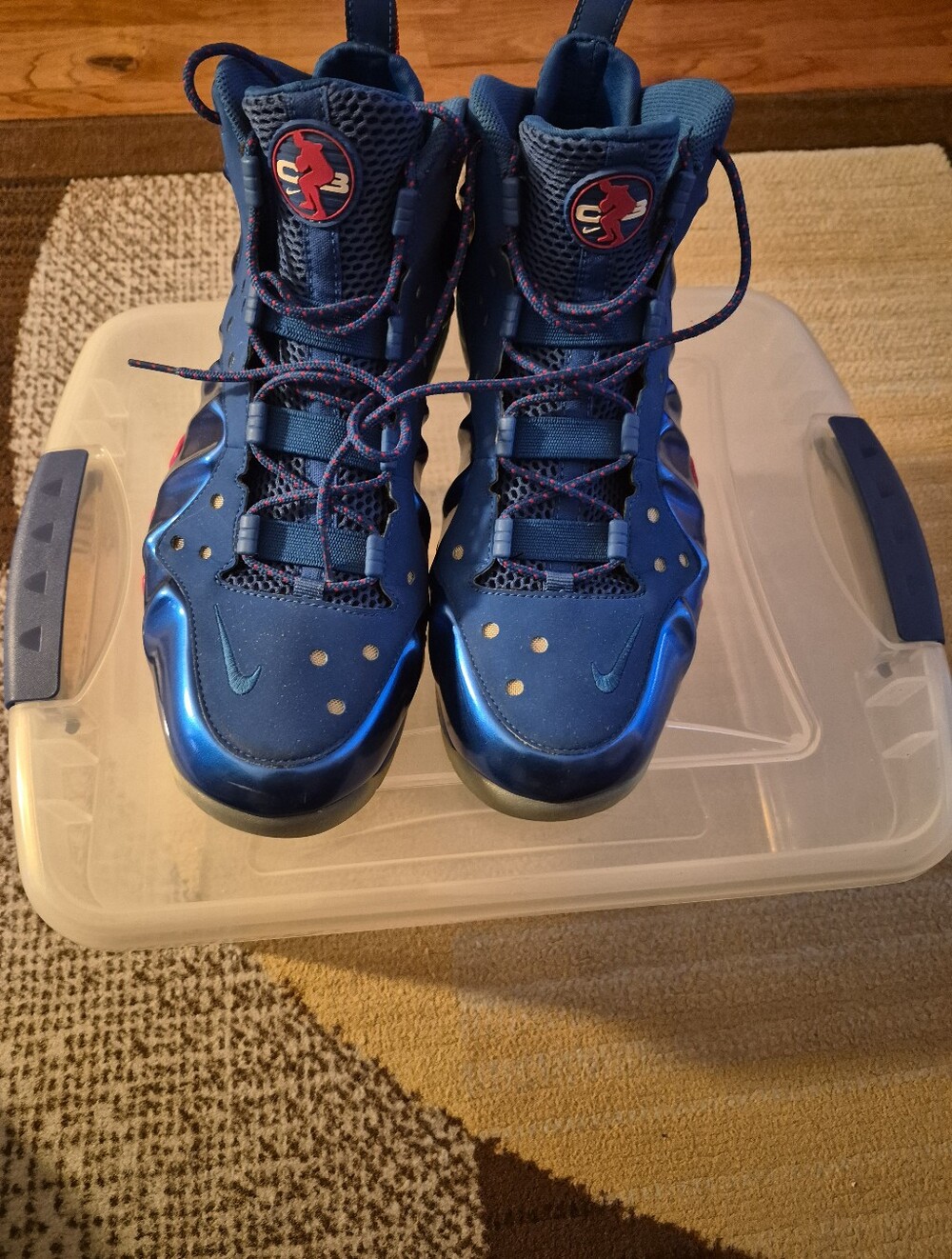 Nike Barkley Posite MAX Sixers